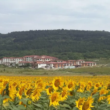 Harmony Hills**** Lami Apartment