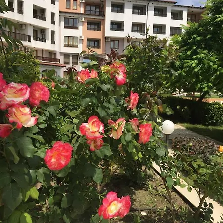 Harmony Hills**** Lami Apartment *